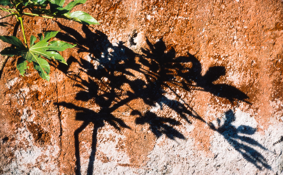  RHF2012